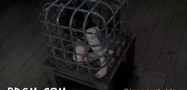  Caged up cutie needs torment